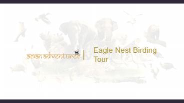 eagle nest birding india