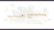 eagle nest birding india