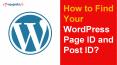 How to Find Your WordPress Page ID and Post ID? PowerPoint PPT Presentation