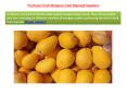 Purchase Fresh Mangoes from Reputed Suppliers PowerPoint PPT Presentation