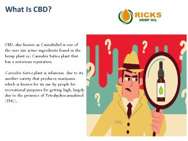 Hemp Oil for Sale Australia