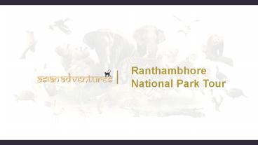 tiger tours ranthambore