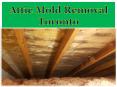 Attic Mold Removal Toronto PowerPoint PPT Presentation