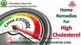 Home Remedies For High Cholesterol