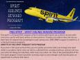 FREE SPIRIT – SPIRIT AIRLINES REWARD PROGRAM PowerPoint PPT Presentation