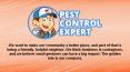 Pest Management Services - Pest Control Expert PowerPoint PPT Presentation