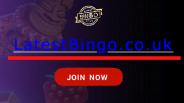 Get Ready to Find Top Bingo and Slot Sites