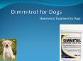 Dimmitrol Heartworm Tablets for Dogs at Best Price online Australia