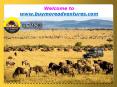 The Best Way to Plan a Vacation at Masai Mara PowerPoint PPT Presentation