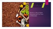 Mulch: A Must-Have Requirement for Your Landscape