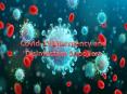 Covid-19 Emergency and Disinfectant Suppliers PowerPoint PPT Presentation