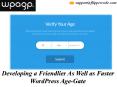 Why Use Wpageverify  For WordPress Age Confirmation? PowerPoint PPT Presentation