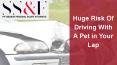 Huge Risk Of Driving With A Pet in Your Lap PowerPoint PPT Presentation
