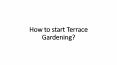How to start Terrace Gardening? PowerPoint PPT Presentation