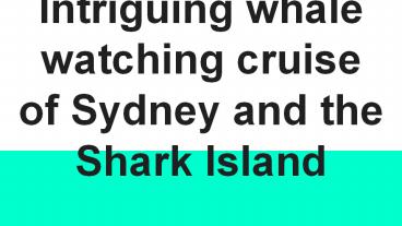 Intriguing whale watching cruise of Sydney and the Shark Island