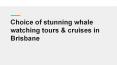 Choice of stunning whale watching tours & cruises in Brisbane PowerPoint PPT Presentation