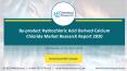 By-product Hydrochloric Acid Derived Calcium Chloride Market Research Report 2020 PowerPoint PPT Presentation