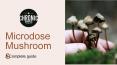 Mushrooms Benefits PowerPoint PPT Presentation