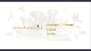 Jhalana leopard safari india