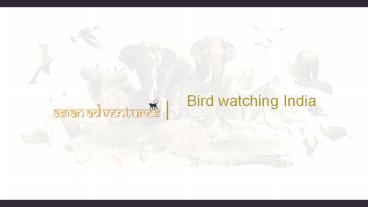 eagle nest bird sanctuary