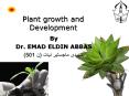 Plant Physiology PowerPoint PPT Presentation