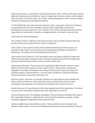 Christian Walliker on Internal Environment