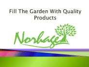 Why Should Drivhus Plast Be The Next Purchase ?