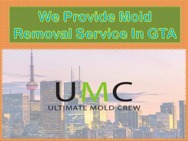 We Provide Mold Removal Service In GTA