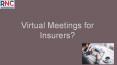 Virtual Meetings for Insurers - Rakesh Narula & Co. PowerPoint PPT Presentation