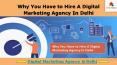 Why You Have to Hire A Digital Marketing Agency In Delhi PowerPoint PPT Presentation