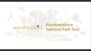 ranthambore safari tour