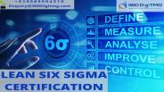 six sigma black belt