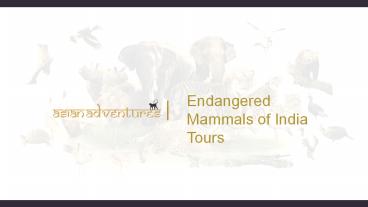 Endangered mammals of india tours
