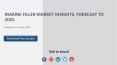 Marine Filler Market Insights, Forecast to 2025 PowerPoint PPT Presentation