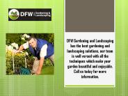 Lewisville Landscaping Service