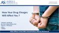 How your Drug Charges Will Effect You? PowerPoint PPT Presentation