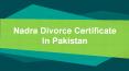 Legal Way For Nadra Divorce Certificate in Pakistan PowerPoint PPT Presentation