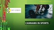 Cannabis In Sports