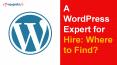 A WordPress Expert for Hire: Where to Find? PowerPoint PPT Presentation