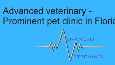 Advanced veterinary -Prominent pet clinic in Florida