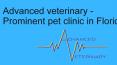 Advanced veterinary -Prominent pet clinic in Florida PowerPoint PPT Presentation