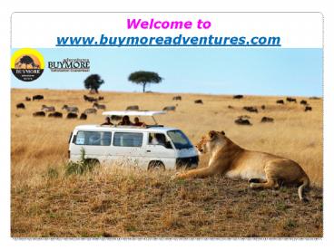 Budget Kenya Safari-Enjoying the Versatility of a Serene Atmosphere