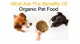 What Are The Benefits Of Organic Pet Food PowerPoint PPT Presentation