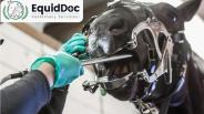 EquidDoc Veterinary Dental Assessment | Vets in Worcester, MA