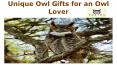 Unique Owl Gifts for an Owl Lover PowerPoint PPT Presentation