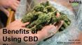 CBD Flower Benefits