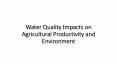 Water Quality Impacts on Agricultural Productivity and Environment PowerPoint PPT Presentation