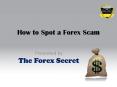 How To Spot a Forex Scam PowerPoint PPT Presentation