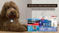 National Best Friend’s Day – Top 5 Gifts for Your Fur Friend PowerPoint PPT Presentation