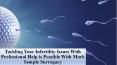 Tackling Your Infertility Issues With Professional Help is Possible With Mark Semple Surrogacy PowerPoint PPT Presentation